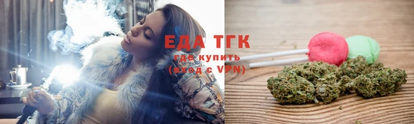 амф Ельня