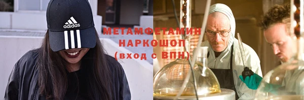 амф Ельня