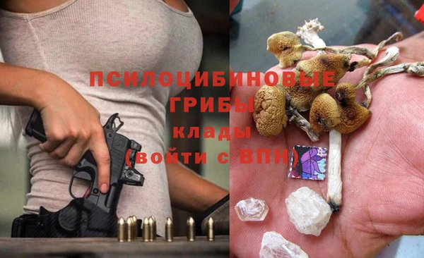 шишки Всеволожск