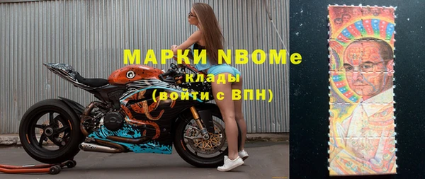 амф Ельня