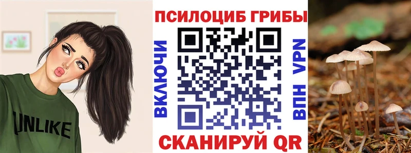 Псилоцибиновые грибы мухоморы  Купить где  Мещовск 