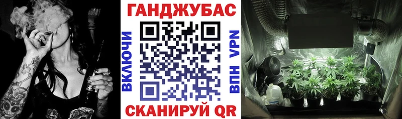 Купить где  Мещовск  Канабис Bruce Banner 